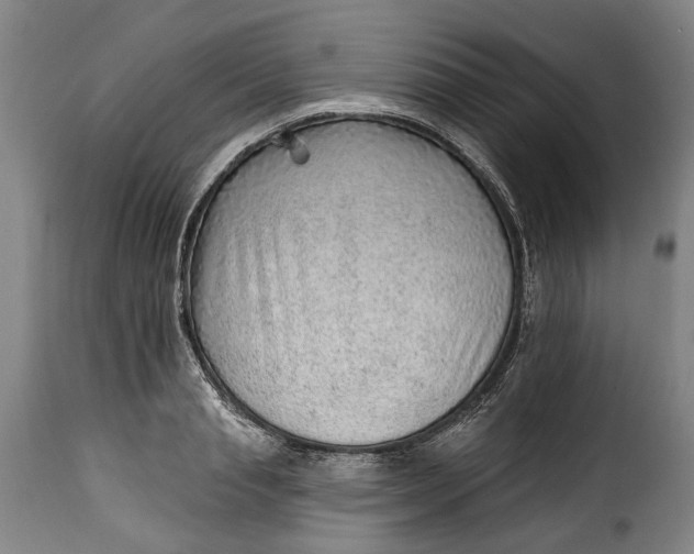 X0000115380845200911241302