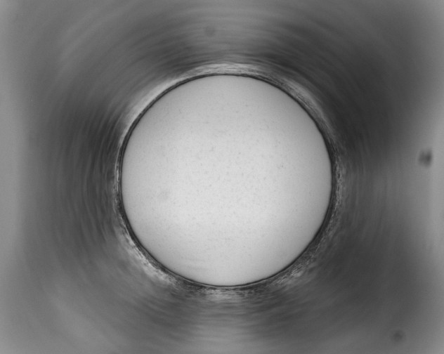 X0000115380852200911241302