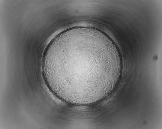 X0000115380853200911241302