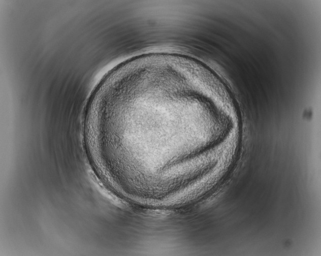 X0000115380854200911241302