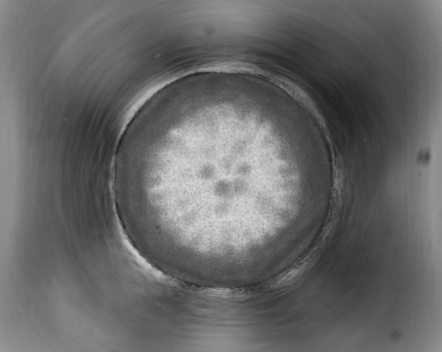 X0000115380855200911241302