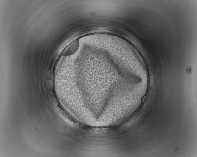 X0000115380858200911241302