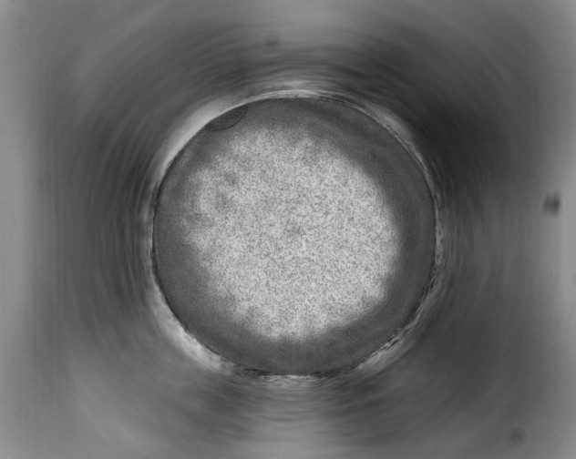 X0000115380859200911241302