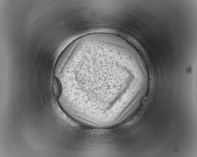 X0000115380860200911241302