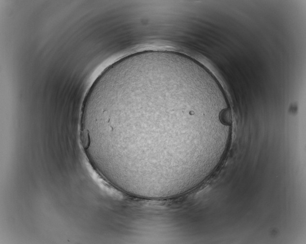 X0000115380861200911241302