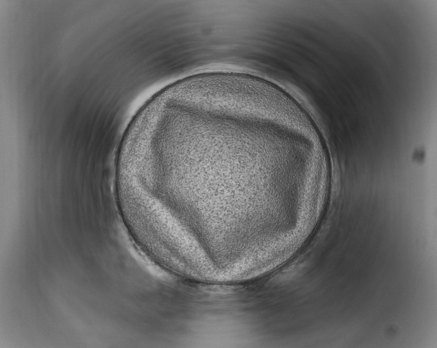 X0000115380862200911241302