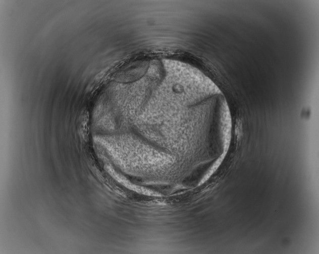 X0000115380867200911241301