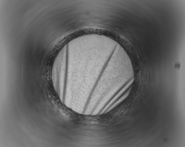 X0000115380870200911241301