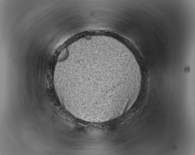 X0000115380871200911241301