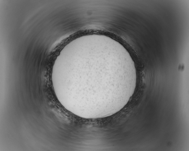 X0000115380872200911241301