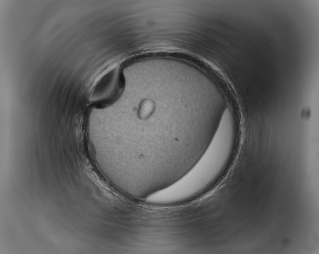 X0000115380873200911241301