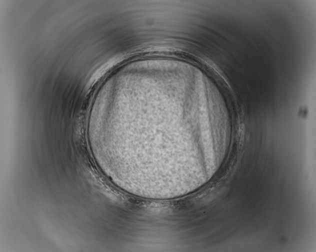 X0000115380874200911241301