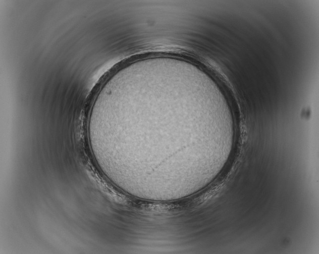 X0000115380875200911241301