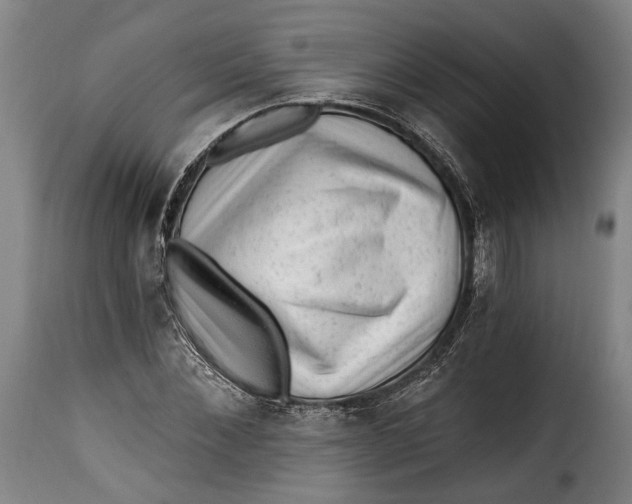 X0000115380876200911241301