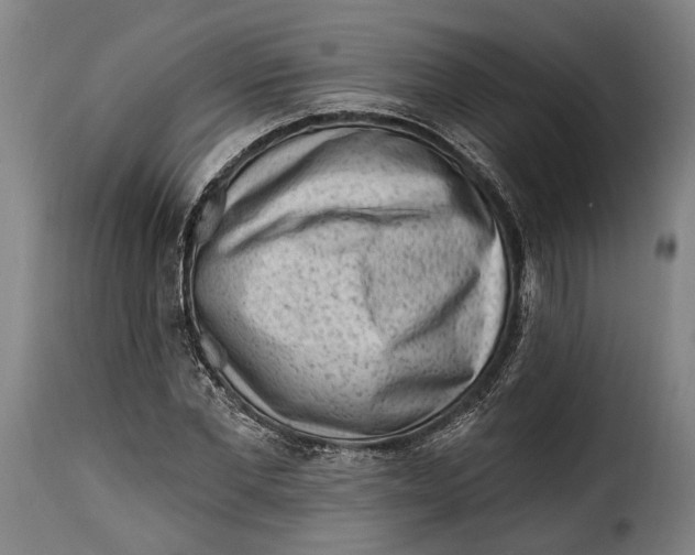 X0000115380877200911241301