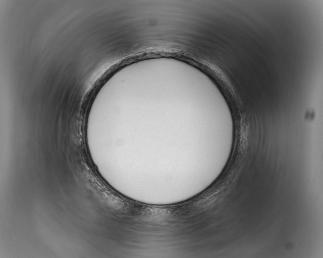 X0000115380878200911241301