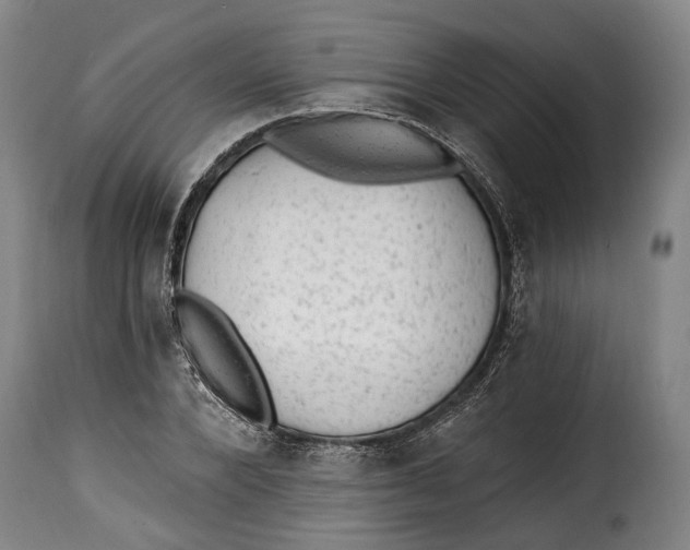 X0000115380880200911241301