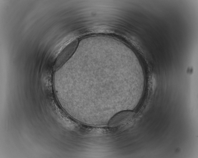 X0000115380881200911241301