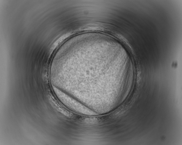 X0000115380882200911241301