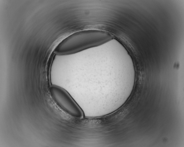 X0000115380884200911241301