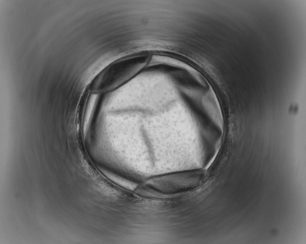 X0000115380885200911241301