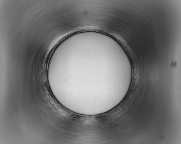 X0000115380886200911241301