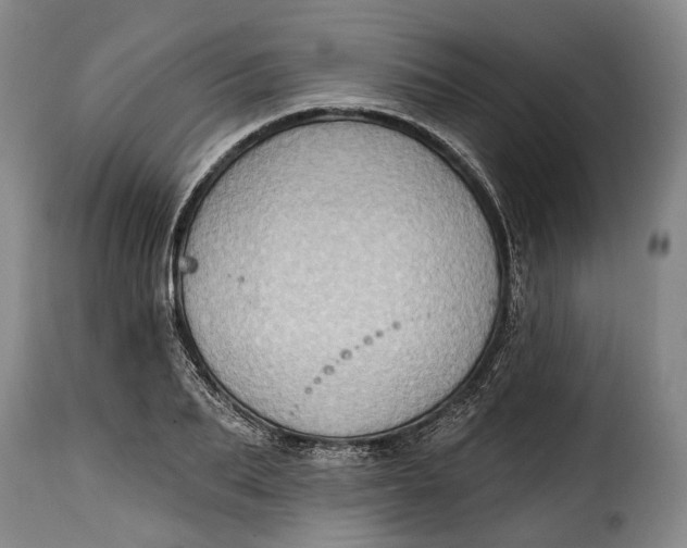 X0000115380887200911241301