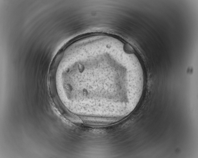 X0000115380888200911241301