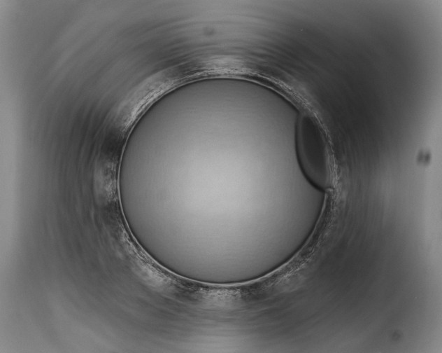 X0000115380889200911241301