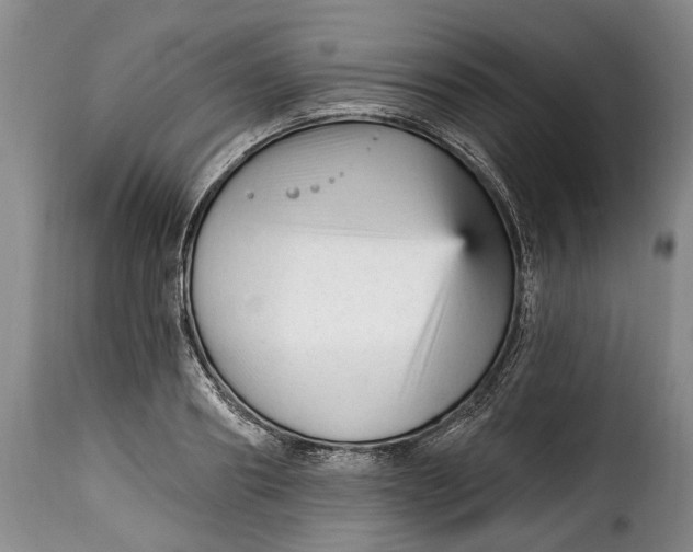 X0000115380890200911241301