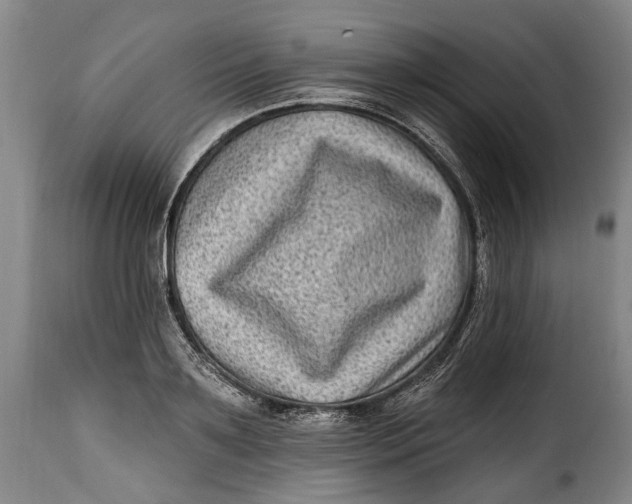 X0000115380891200911241301