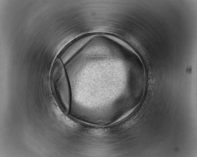 X0000115380892200911241301