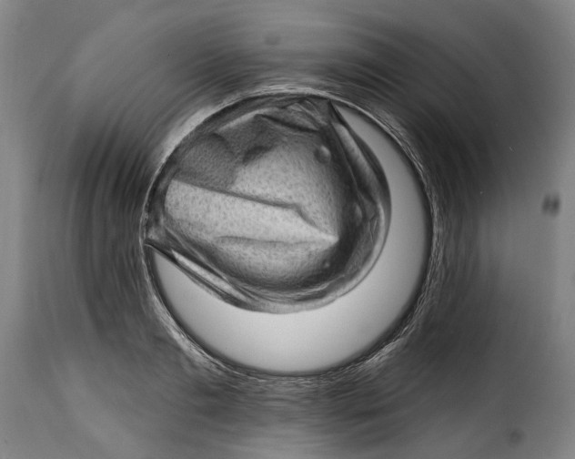 X0000115380893200911241301