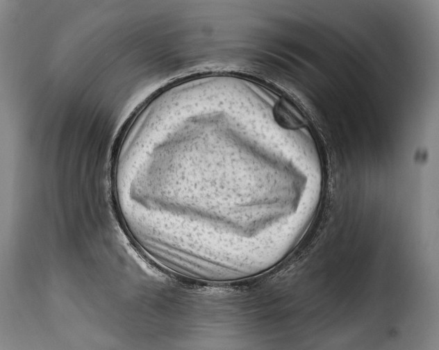 X0000115380894200911241301