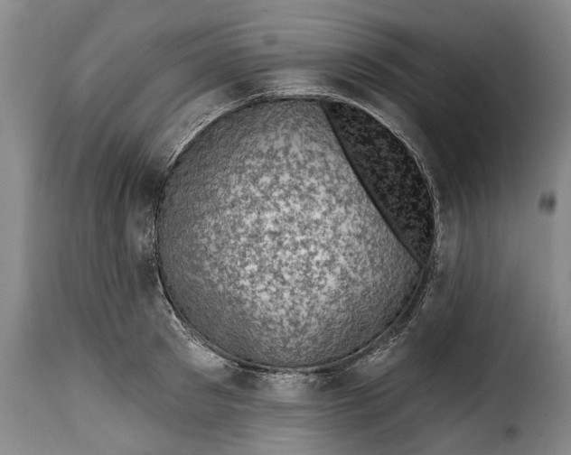 X0000115380897200911241301