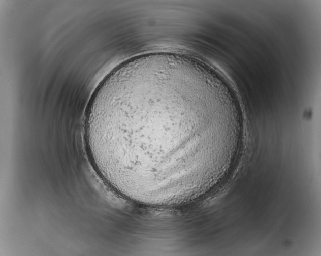 X0000115380899200911241301