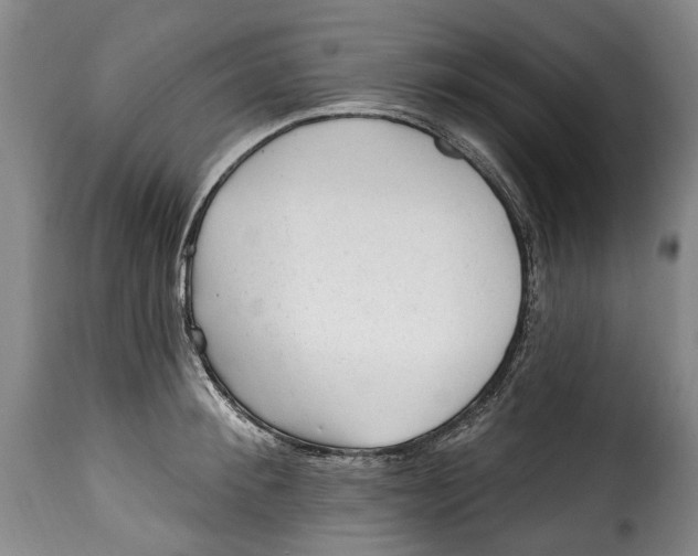 X0000115380900200911241301