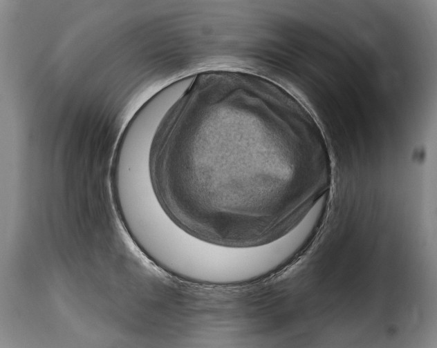 X0000115380901200911241301