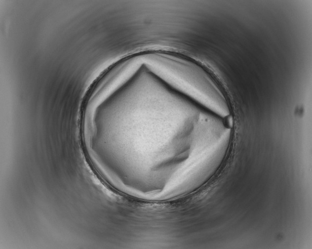 X0000115380902200911241301