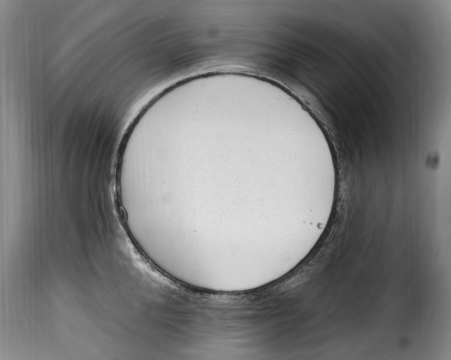 X0000115380904200911241301