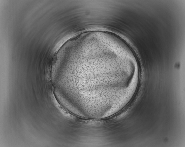 X0000115380905200911241301