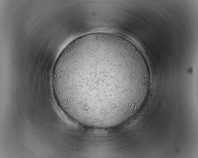 X0000115380907200911241301