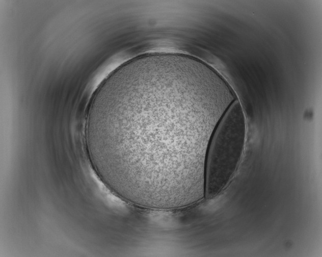 X0000115380909200911241301