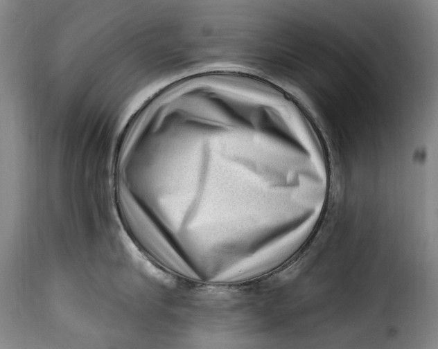 X0000115380910200911241301