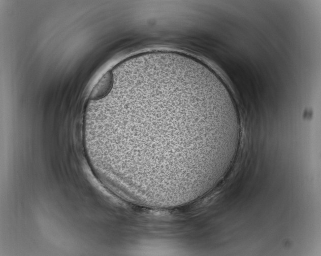 X0000115380911200911241301