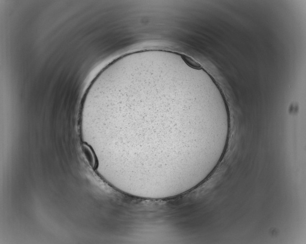 X0000115380912200911241300