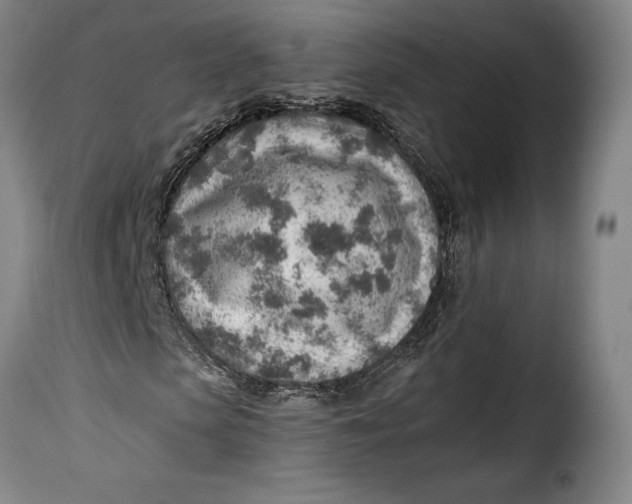 X0000115380913200911241300