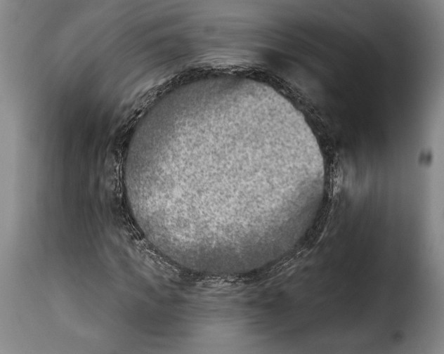 X0000115380917200911241300