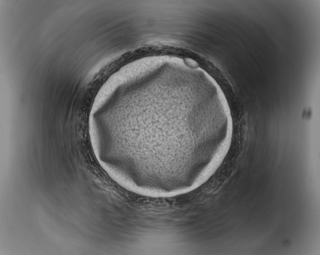 X0000115380919200911241300