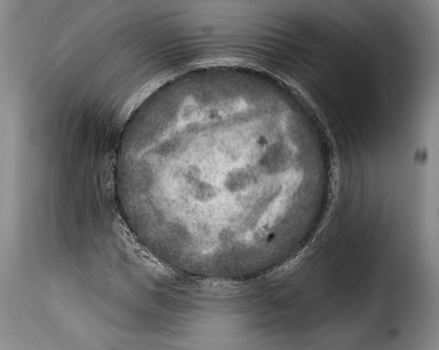 X0000115380921200911241300